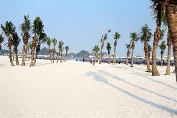 Homestay Sea View Newlife Halong. Hạ Long Ngoại thất bức ảnh